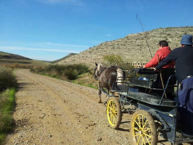 con los caballos